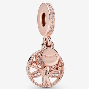 Pandora 24 Rose Gold Plater Family Charm